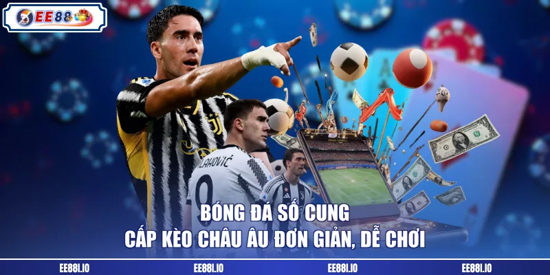 Bóng đá số cung cấp kèo châu Âu đơn giản, dễ chơi