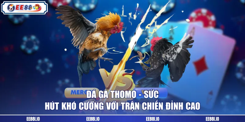 đá gà thomo