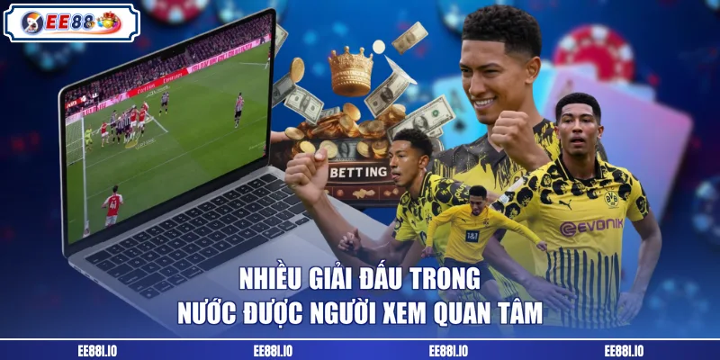 Nhiều giải đấu trong nước được người xem quan tâm