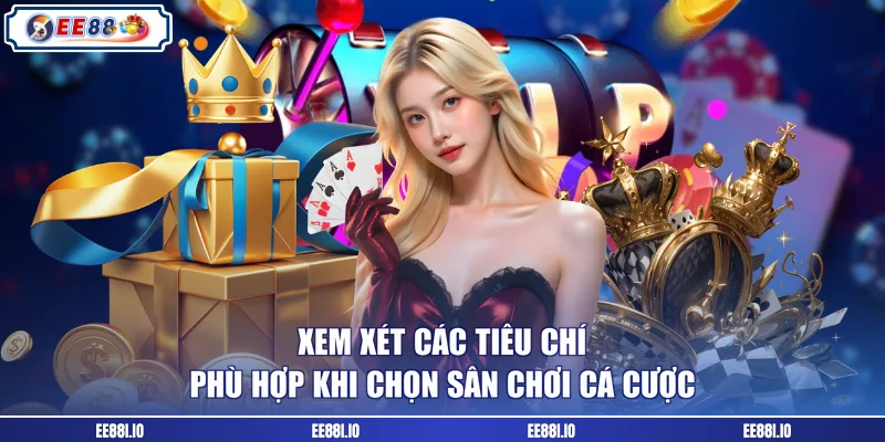 Xem xét các tiêu chí phù hợp khi chọn sân chơi cá cược